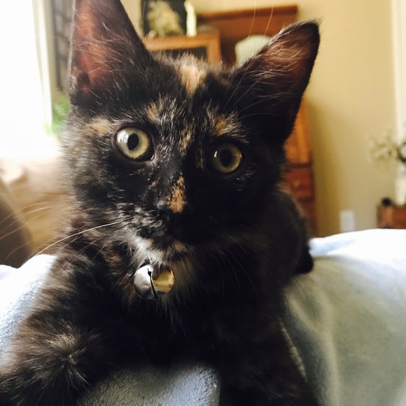penny0808